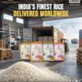 Trusted Rice Mills In Haryana | Rajendra Rice & General Mills