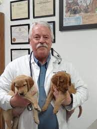 New York, Health, Preventive Wellness Testing For Healthier Pets