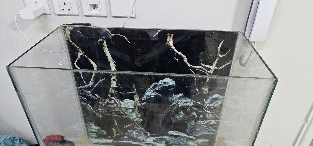 Al Safa, Pet Supplies, SAR 350,  Aquarium With Table
