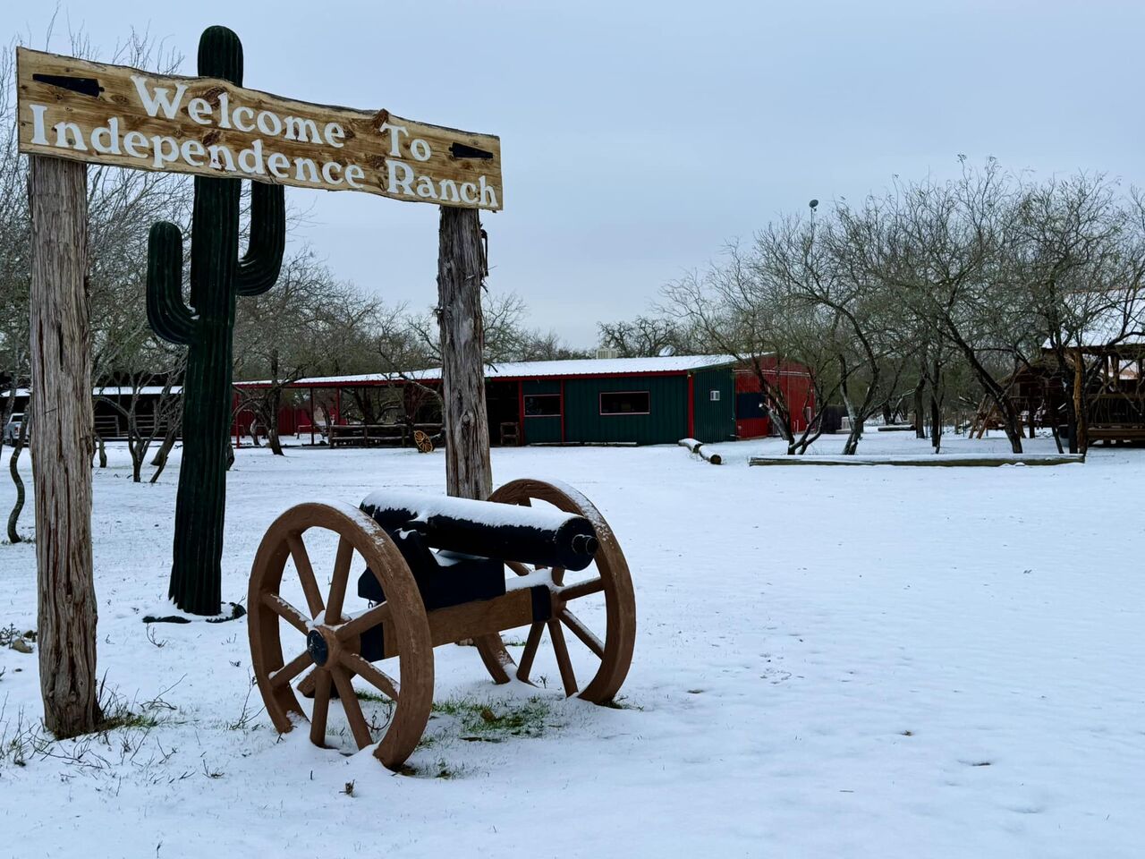 New York, Business, West Texas Hog Hunting For Guided Texas Adventures