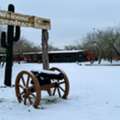 West Texas Hog Hunting For Guided Texas Adventures