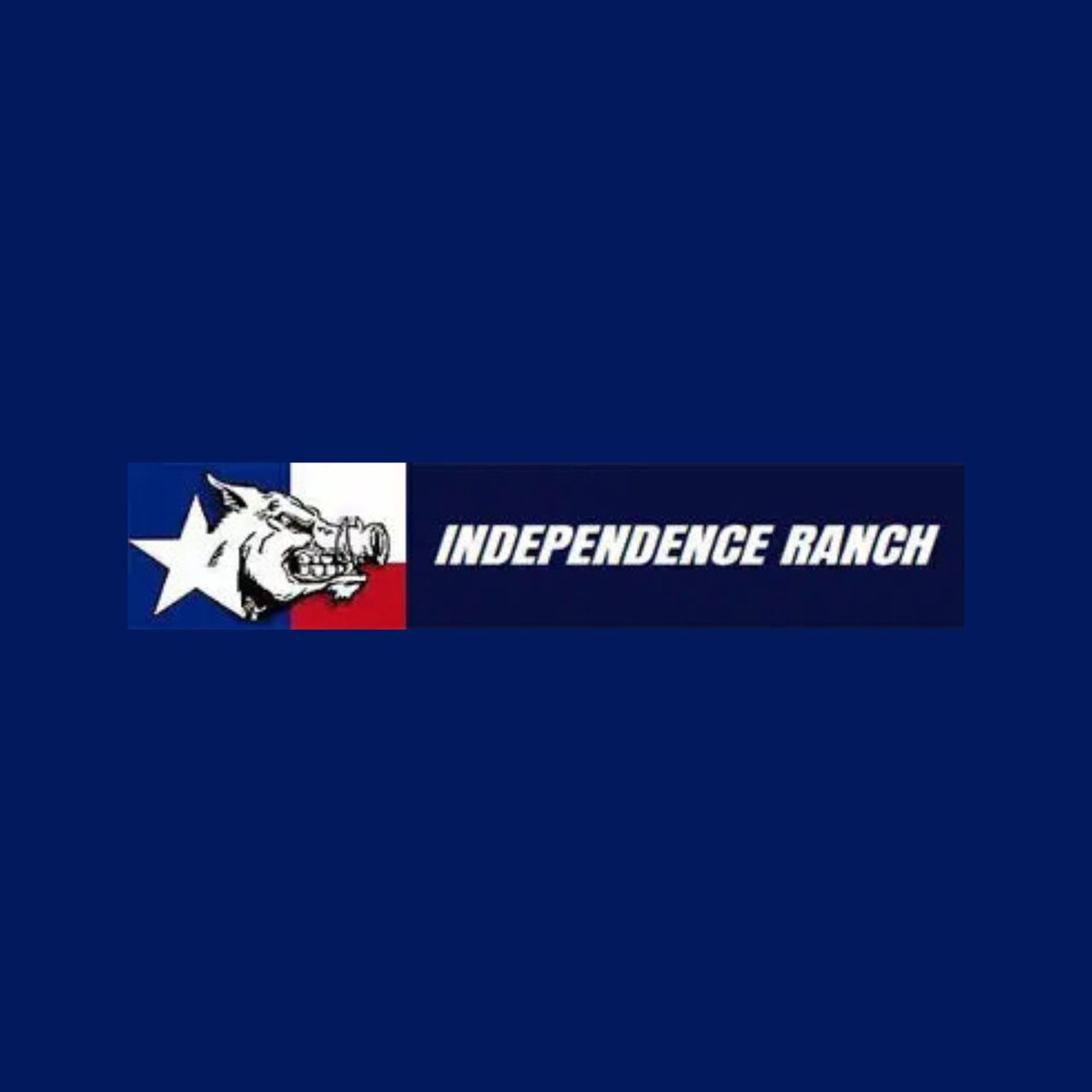 New York, Business, Hog Hunting Adventures In Texas For Outdoor Enthusiasts
