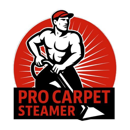 New York, Cleaning, Pro Carpet Steamer