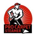 Pro Carpet Steamer