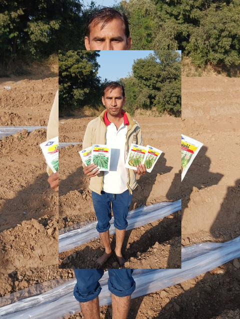 New Delhi, Farm & Garden, INR 699,  Seeds Company In India | Hindustan Seeds