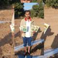 INR 699,  Seeds Company In India | Hindustan Seeds