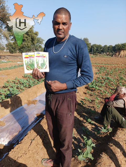 New Delhi, Farm & Garden, INR 699,  Seeds Company In India | Hindustan Seeds