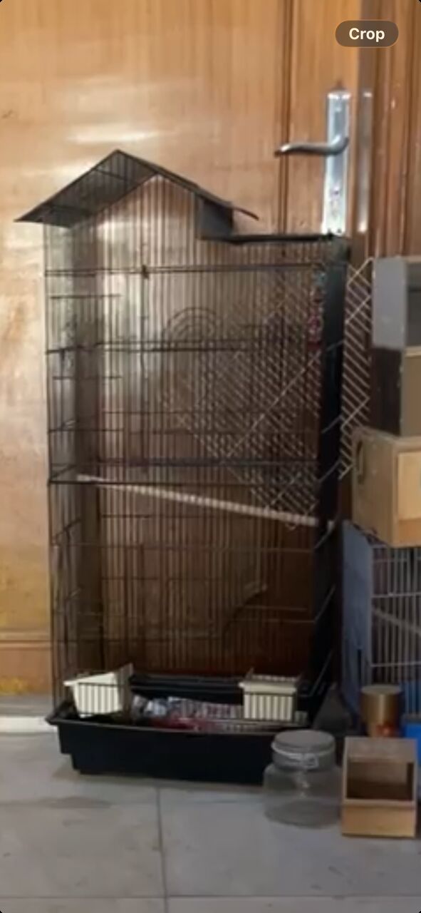 Dammam, Pet Supplies, SAR 120,  NEW BIG STEEL CAGE