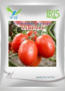 New Delhi, Farm & Garden, INR 699,  Iris Sartaaj F1 Hybrid Tomato Seeds | Iris Seeds