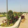INR 23999,  220 Sq. Yard,  Best Investment Hmda & Rera Approved Plots For Sale Near Banglore Highway Exit No 15 &16