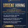 Senior Business Development Executive