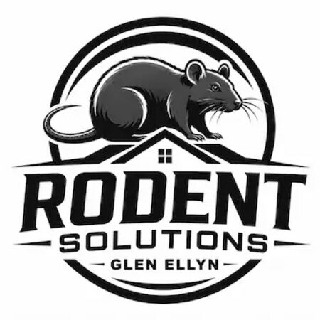 New York, Pest Control, Rodent Solutions Glen Ellyn