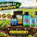 Crop Health At Risk From Insects? Explore Pesticides For Agriculture &ndash; Contact Now