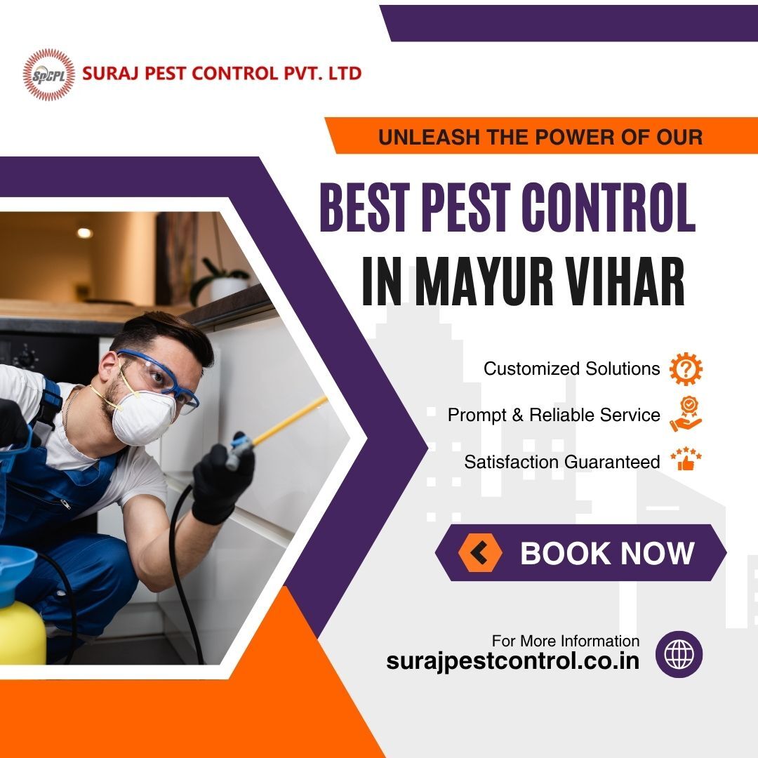 New Delhi, Pest Control, Same-Day Pest Control Service In Mayur Vihar
