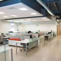 Professional Virtual Office Services London For Modern Businesses