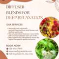 Plant Based Essential Oils For Everyday Immune Wellness
