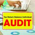 Tax Return Balance Individual Audit