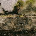 Emergency Water Extraction Services In Atlanta