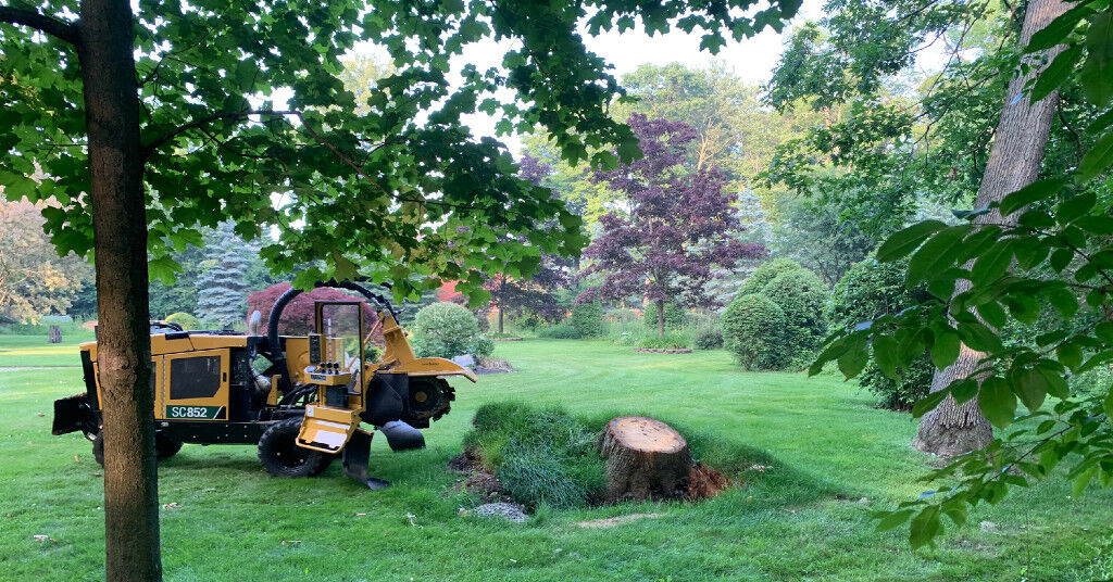 Toronto, Farm/Garden, Northern Stump INC