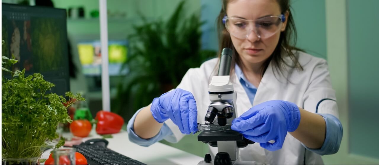 New York, Health, Microbiome Labs Supplements Available Online