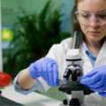 Microbiome Labs Supplements Available Online