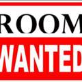 SAR 1400/year,  1 BR,  Needed 1 Room + Bathroom Attached (separate Apartment)