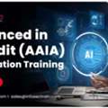 AAIA Online Course For AI Audit And Governance