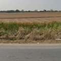THB 39000000,  6 BR,  10400 Sq. Feet,  ขายที่ดินแปลงใหญ่ ทำเลดี ติดถนนท