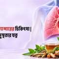 Lung Cancer Treatment In Kolkata | Ayurveda & Wellness Care