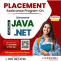 Full Stack Java & .NET Career Guidance And Placement Assistance