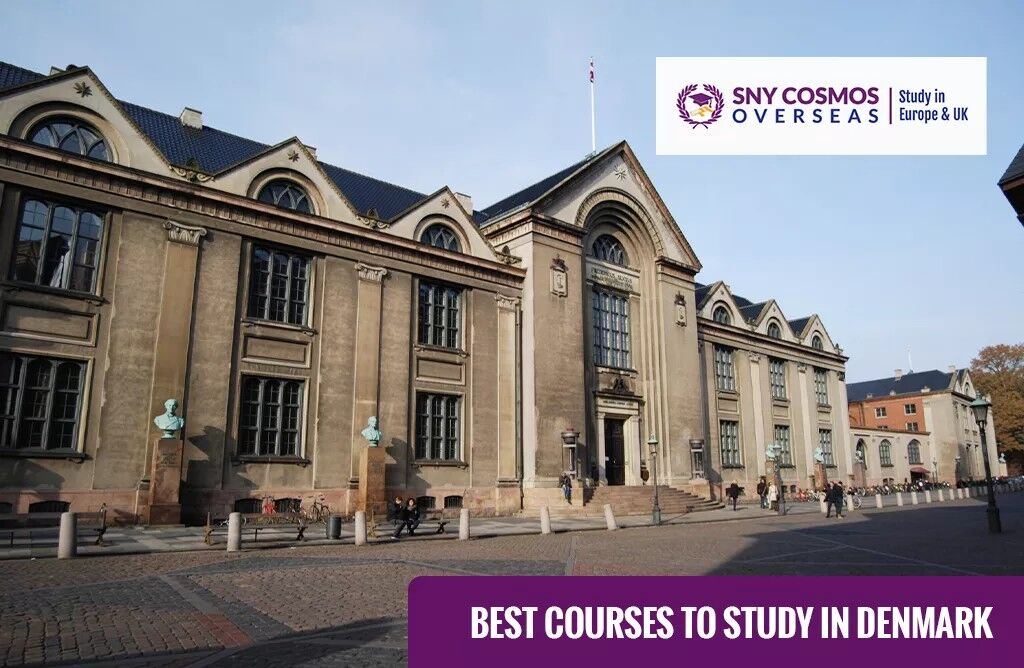 Bangalore, Career Counseling, Funded Ways To Study In Denmark | SNY Cosmos