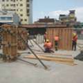 Steel Fixer & Carpenter