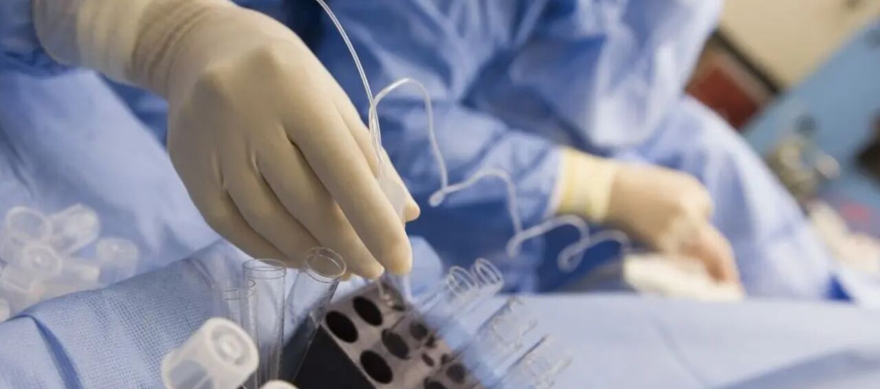 Mumbai, Health, Laser Hatching In IVF In Bhagalpur For Better Embryo Implantation
