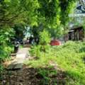 THB 30000000,  6 BR,  348 Sq. Feet,  ขายที่ดินสุขุมวิท ย่านปรีดีพนมยง