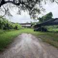 THB 5200000,  6 BR,  100 Sq. Feet,  โซนสุเทพ ขายเพียง 5.2 ล้าน 100 ตรว. ที่ดิน