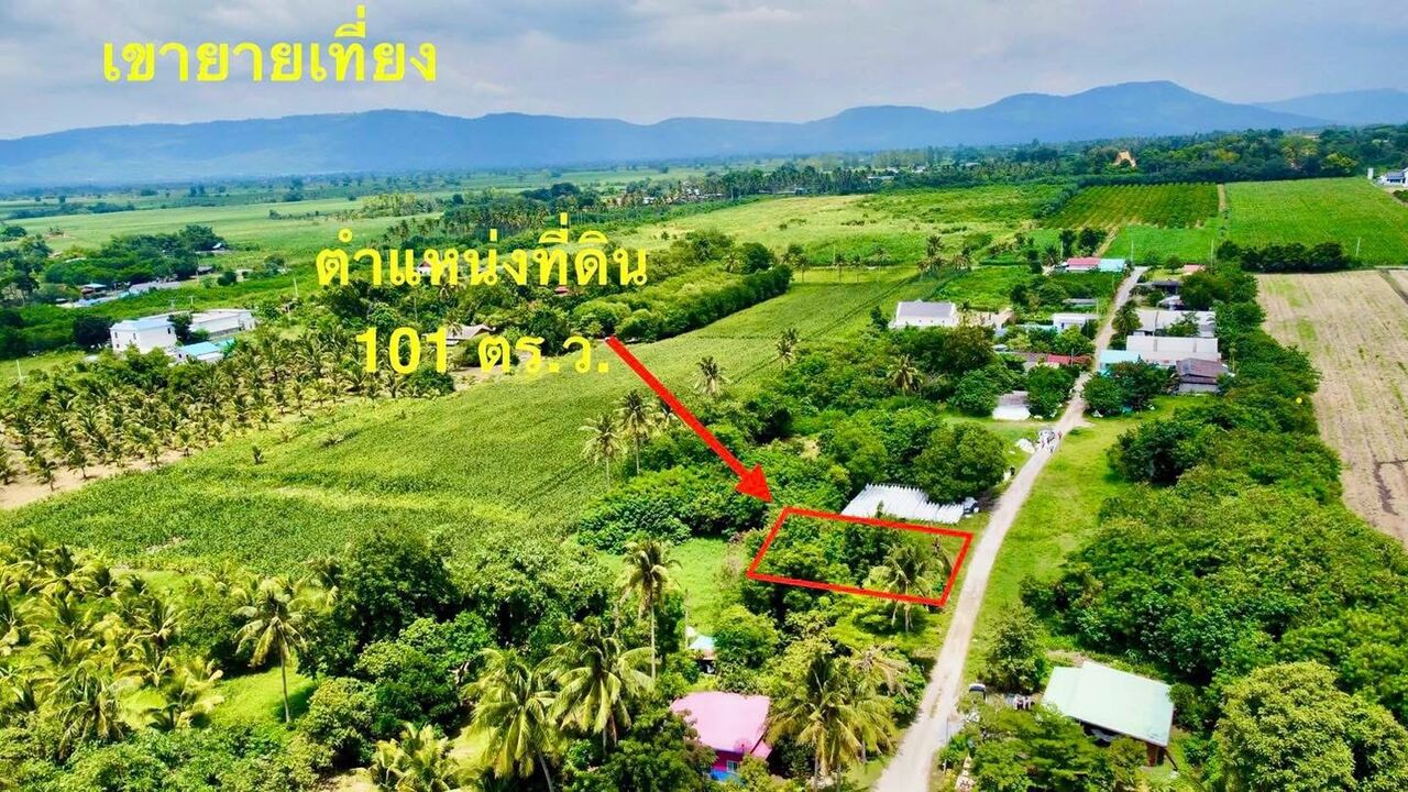 Bangkok, Real Estate For Sale, THB 300000,  6 BR,  101 Sq. Feet,  ที่ดิน ปากช่อง เขาใหญ่  101 ตร.ว. 3 แสน น.ส4จ 