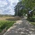 THB 22000,  6 BR,  942 Sq. Feet,  #โซนสุเทพ | #บ้านช่างทอง | ที่ดิน 942 ตร.ว. ร