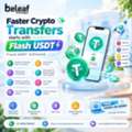 Faster Crypto Transfers Starts With Flash USDT