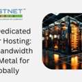 USA Dedicated Server Hosting: High-Bandwidth Bare Metal For Globally
