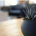 Personalized CBT Therapy Services In Barrington For Better Wellbeing