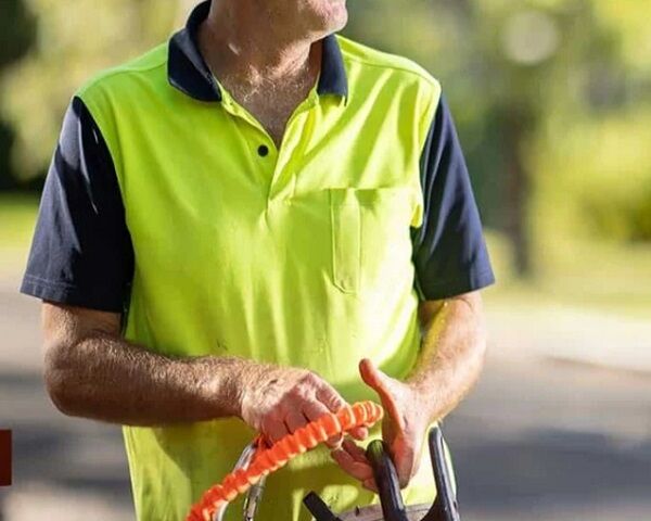 Sydney, Business, Tree Removal Service Adelaide East - Safe Tree Solutions