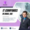 Professional IT Companies In Dubai Supporting Growing Businesses