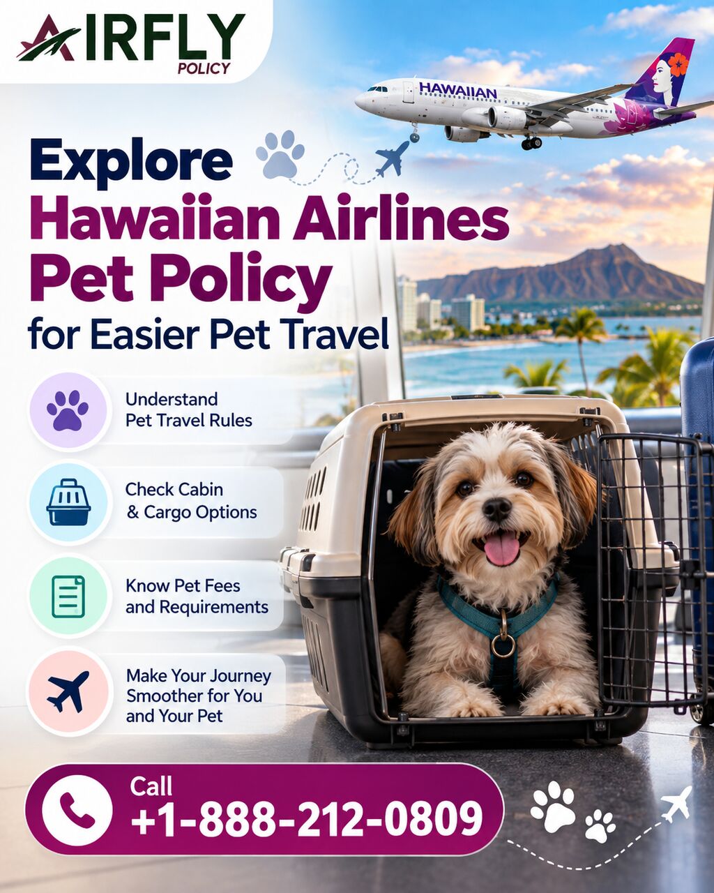New York, Travel, Explore Hawaiian Airlines Pet Policy For Easier Pet Travel