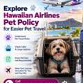 Explore Hawaiian Airlines Pet Policy For Easier Pet Travel