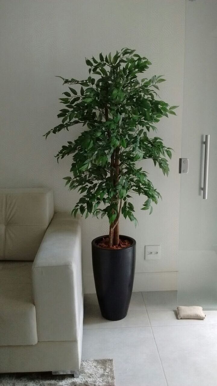 Bangalore, Farm/Garden, Artificial Plant Distributor In Bangalore