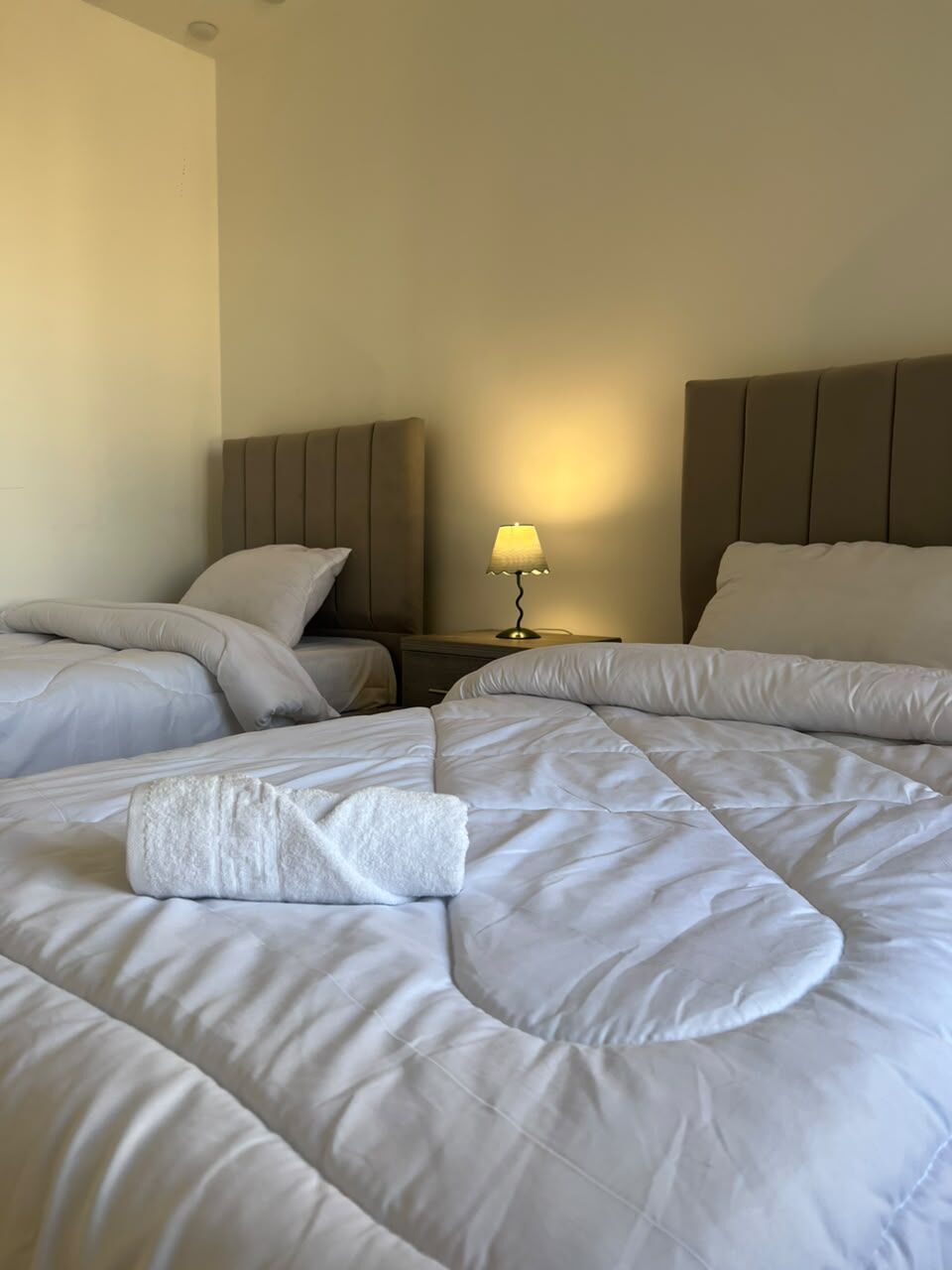 Amman, Apartments, Flats, Houses & Villas, JOD 19000/year,  Furnished,  3 BR,  220 Sq. Meter,  Furnished Apartment For Rent
