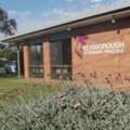 Professional Vet In Springvale For Trusted Pet Healthcare