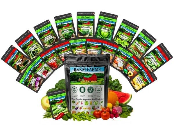 New York, Business, Best Heirloom Vegetable Seeds For Raised Beds And Backyard Gardens &ndash; B&KM Farms