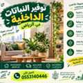 SAR 250,  🌿 توريد النباتات الداخلية في الرياض 🌿