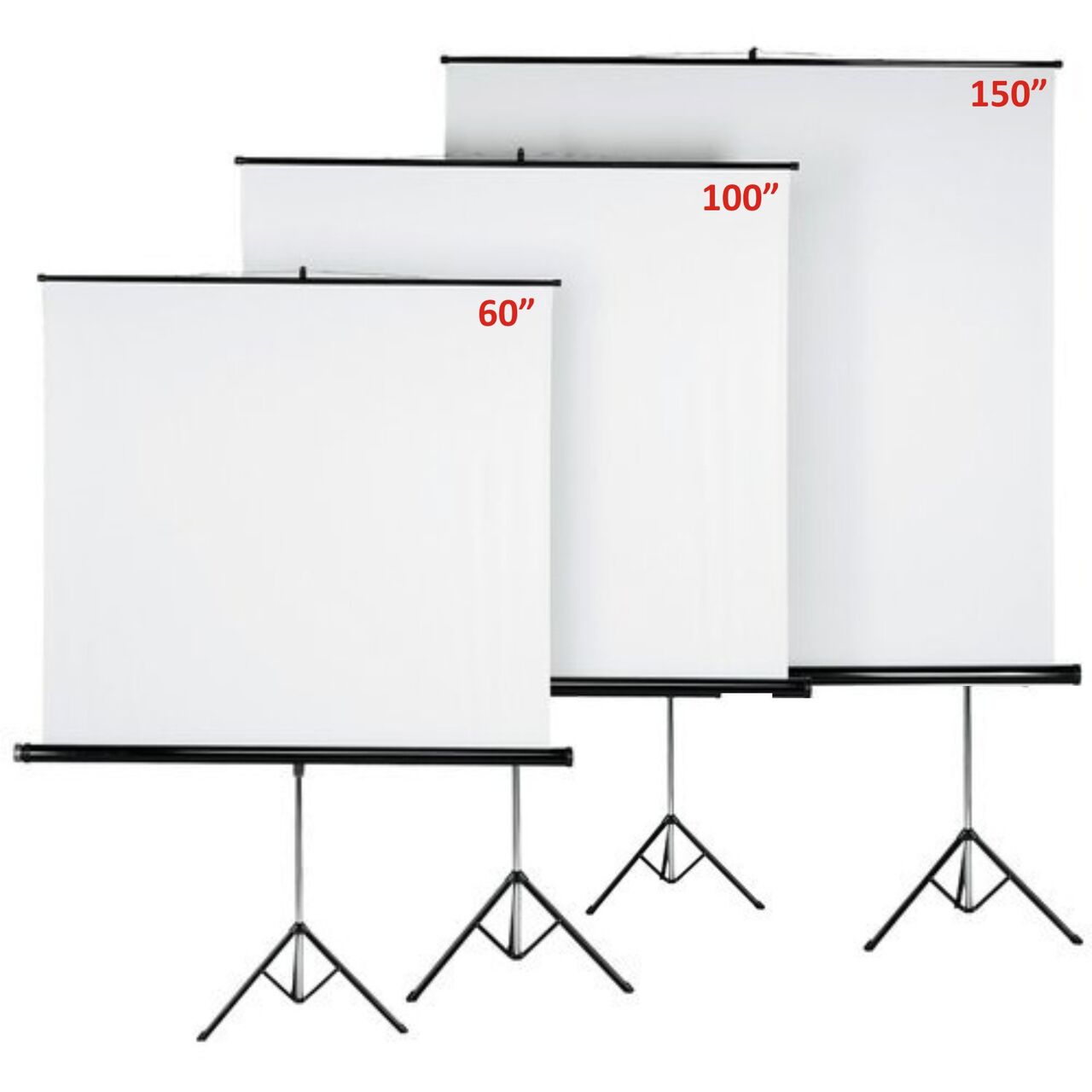 Manama, Computers, BHD 25,  New Projector Screen Box Pack All Size With Stand & Wall Mounted Available At Good Price